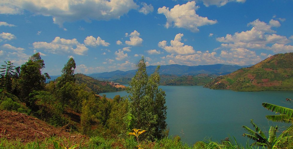 르완다 침팬지&고릴라 투어: 7일