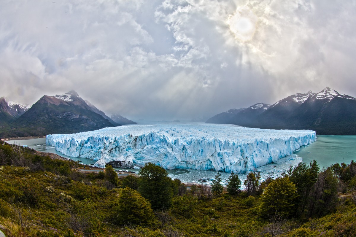 Argentine 아르헨티나