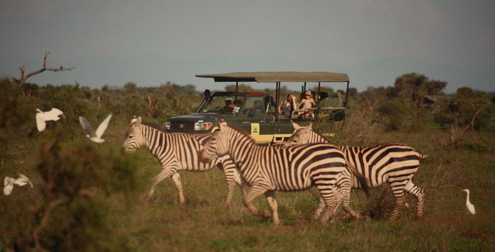 Private: Kenya Fly Safari Tour 8 Days