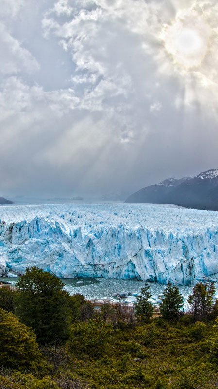 Argentine 아르헨티나