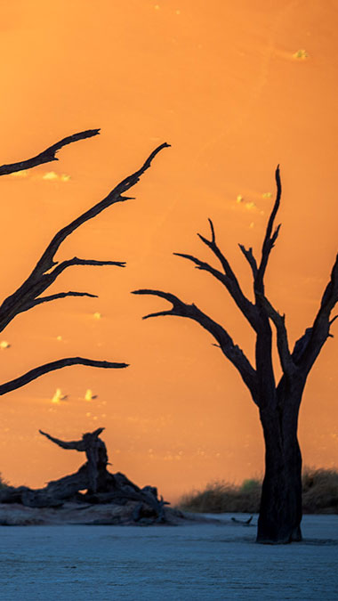 Namibia 나미비아