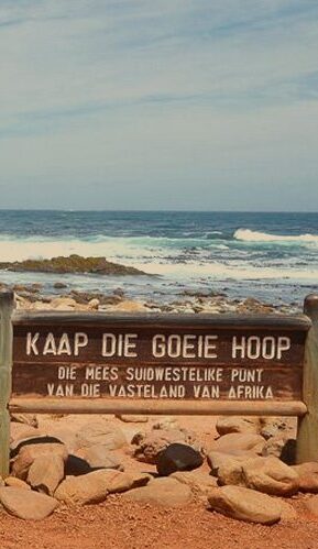 5일간의 케이프타운 어드벤처