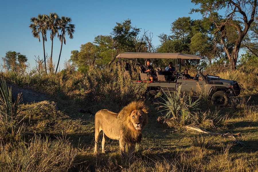 잠비아, 짐바브웨, 보츠와나에서의 9일간의 모험