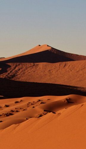 나미비아 온리원의<BR> 9 일간 여행