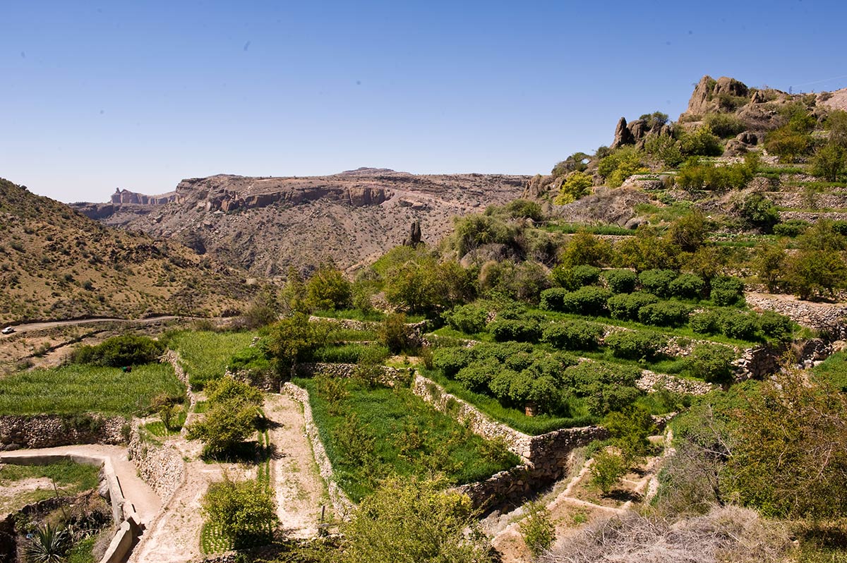 Oman 오만