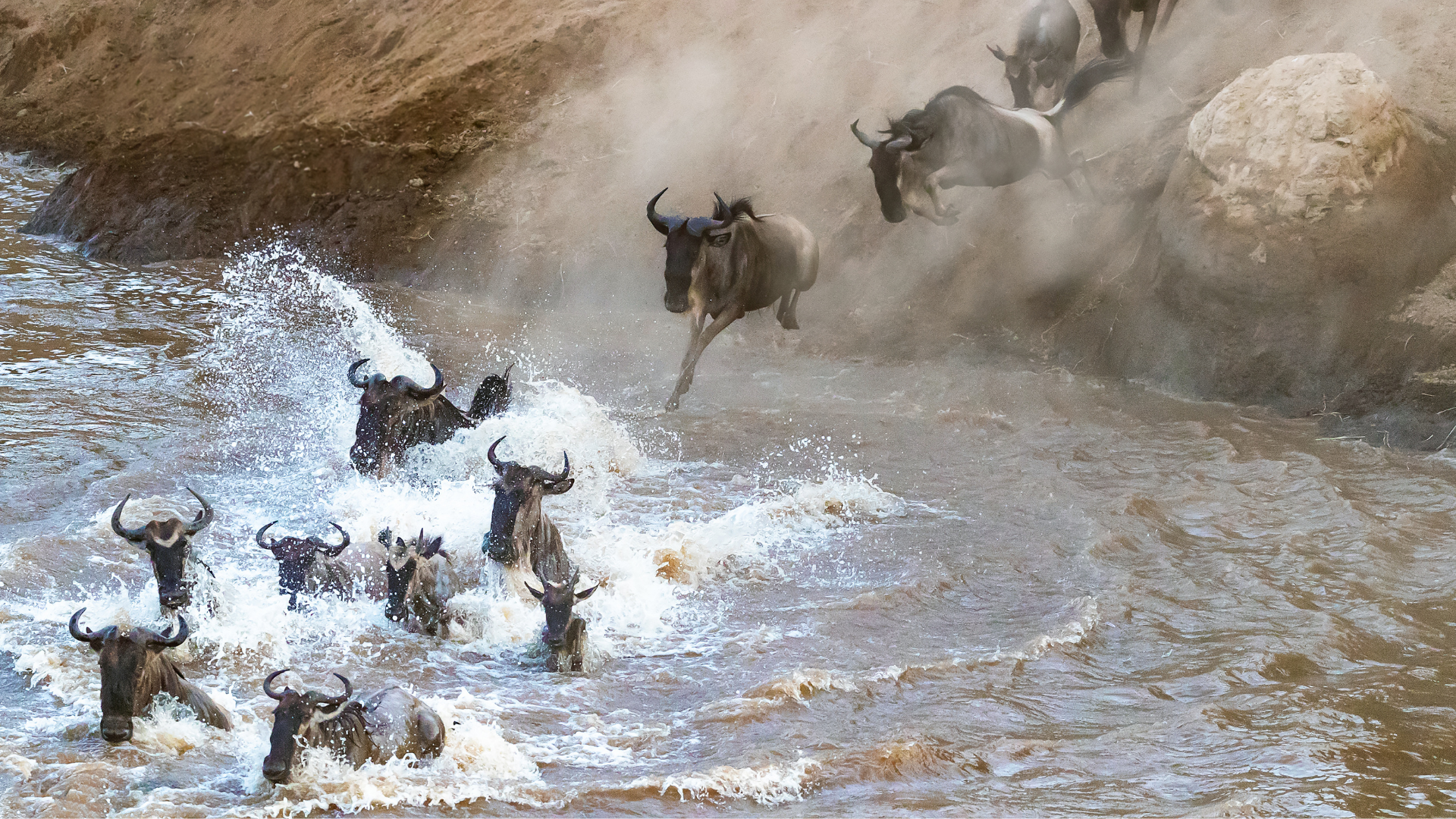 2026 케냐 클래식 사파리 — 7일간