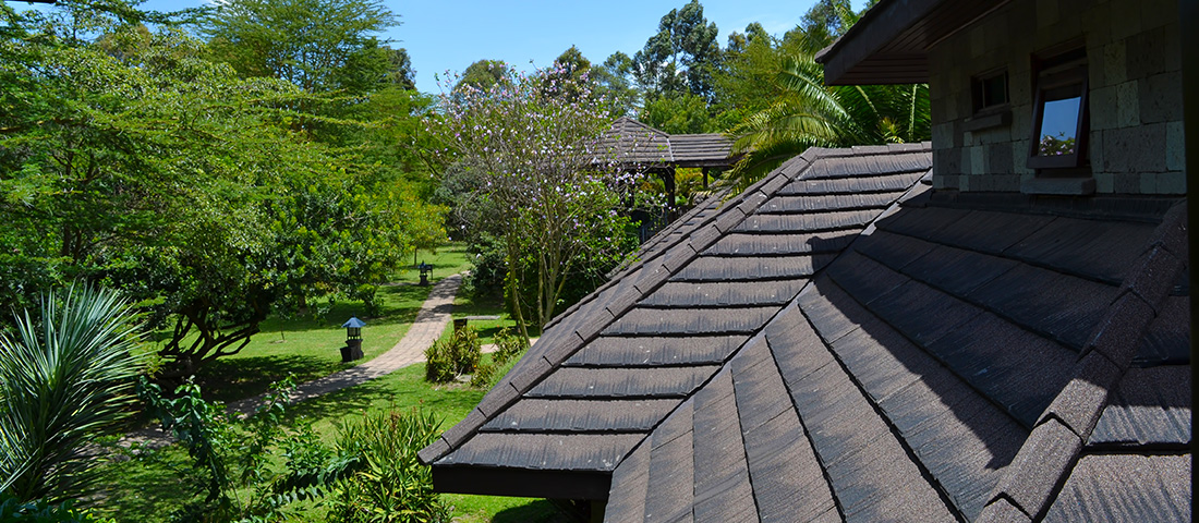 Naivasha Simba Lodge