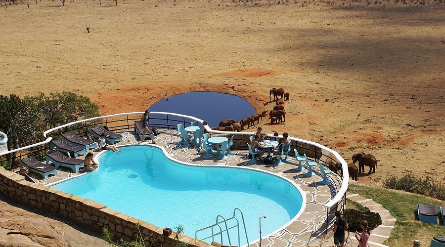 Voi Safari Lodge
