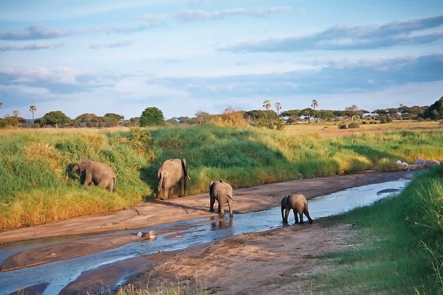 2026 케냐 수페리어 사파리 여행 – 7일