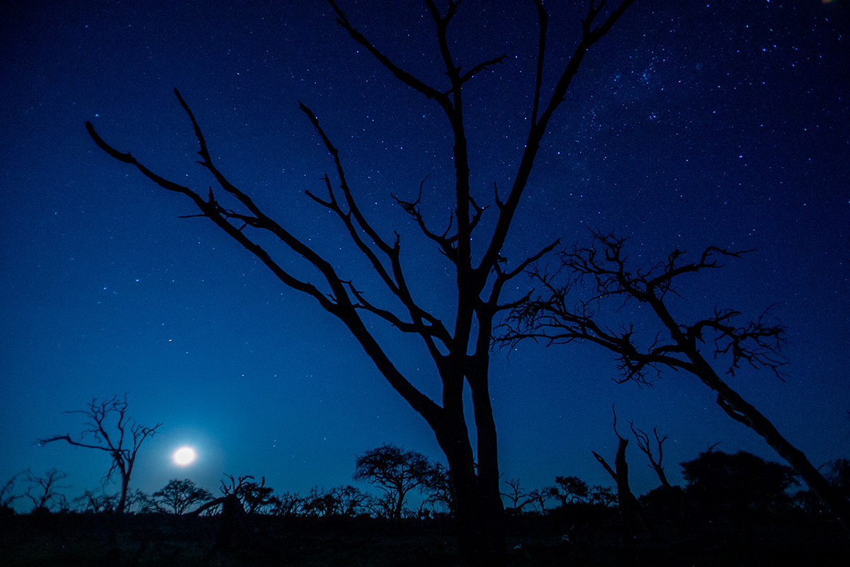 보츠와나 사파리 & 빅토리아 폭포 11일간