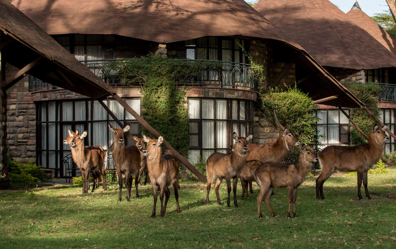 Lake Naivasha Sopa Resort