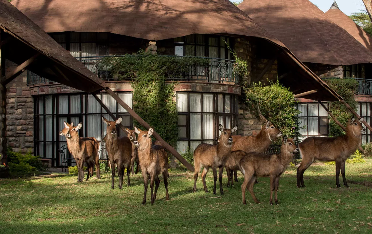 Lake Naivasha Sopa Resort